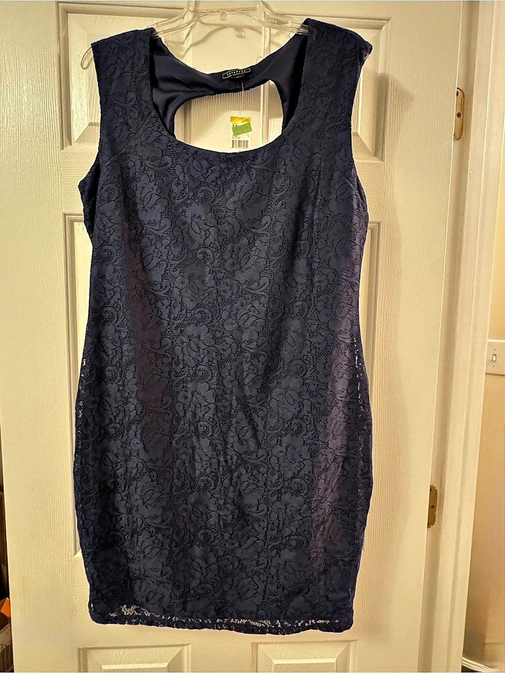Metaphor Floral Lace Mini Dress Black XL NWT